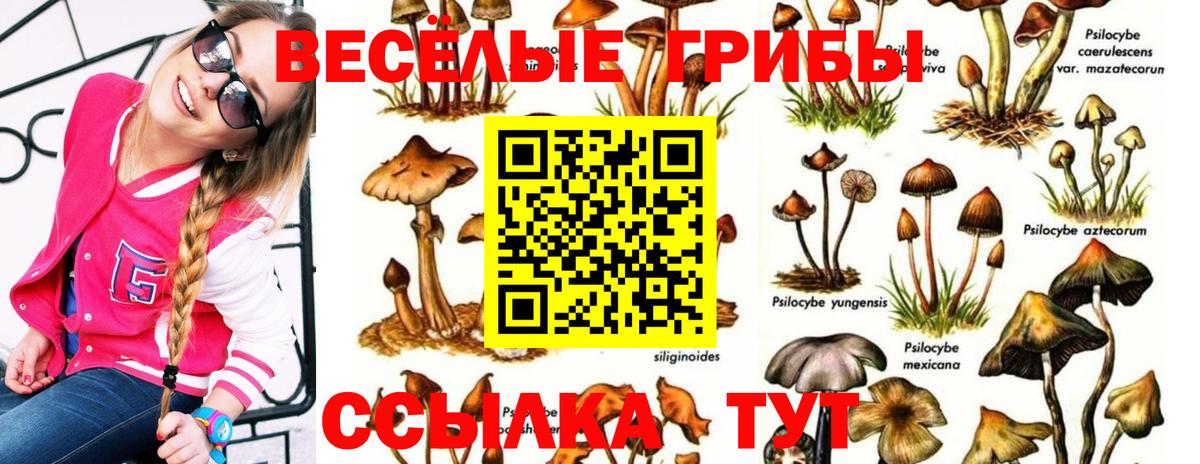 Меф Красный Сулин